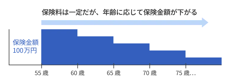 保険料一定タイプのイメージ